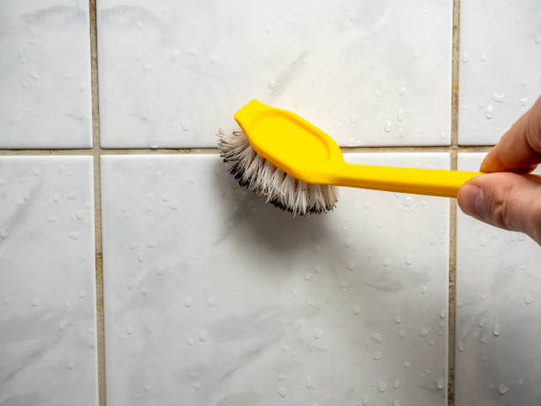 Best Professional Mold Removal  in Llano Grande, TX