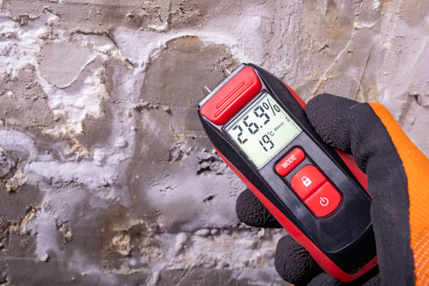 Mold Testing and Removal in Llano Grande, TX